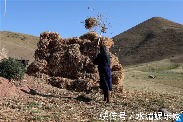 石河子|天山脚下哈萨克牧民，养二百只羊 年收入十二万，日子过的很红火