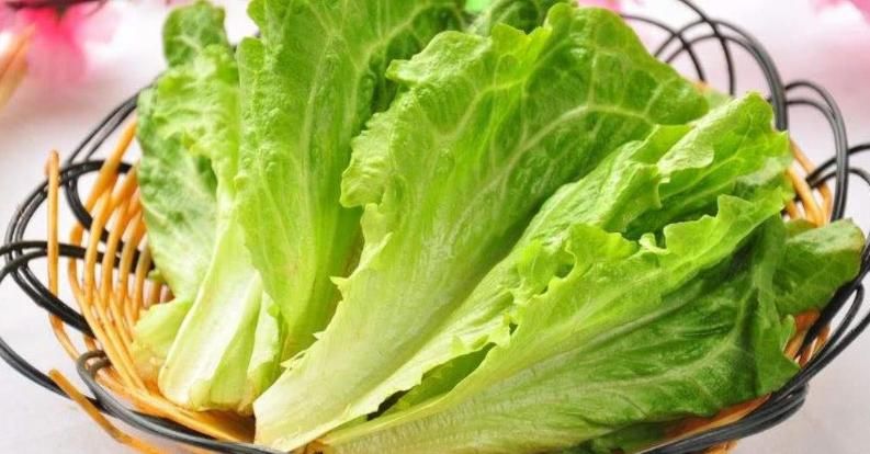  营养价值|一颗小小的生菜，它的营养价值你都知道吗？来看看吧