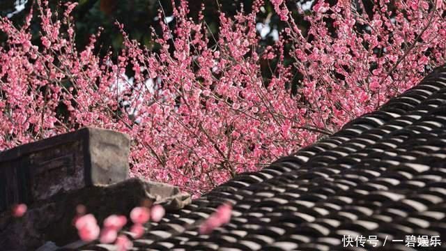 词人|他曾陷害苏轼,一首词入选《宋词三百首》,句句深情,令人惊艳