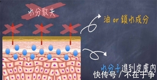 产品 护肤保湿困扰你？你需要参考的保湿攻略……