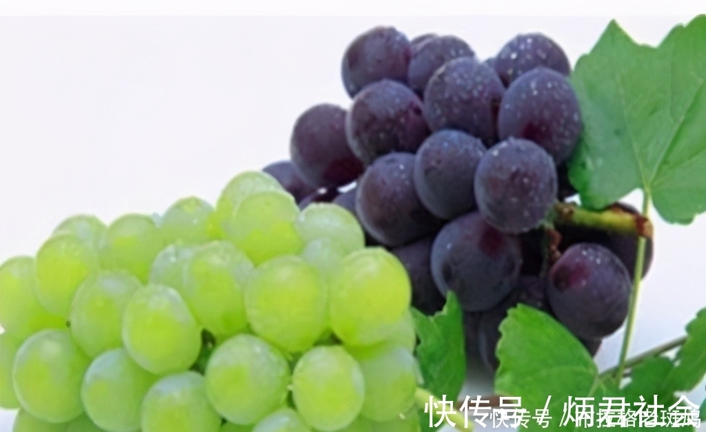 健康长寿|人到中年要会吃,学会常吃3种食物,健脾胃,抗衰老,养护血管