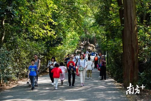 过年|春日暖阳，旗峰山登高望远人气旺