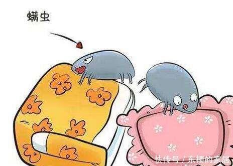 床垫|床垫用久成螨虫窝，婆婆用这个土方法立马把螨虫清干净，太聪明了