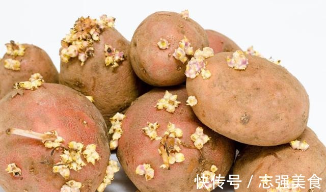茄碱|4种食物发芽后,不仅没“毒”,营养反而增加