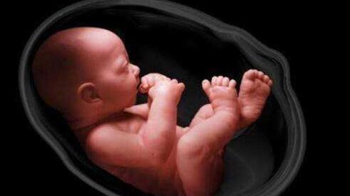 宝宝们|为什么有的孕妇胎动厉害，有的胎动就很轻微？原因终于找到了