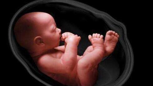 宝宝们|为什么有的孕妇胎动厉害,有的胎动就很轻微?原因终于找到了