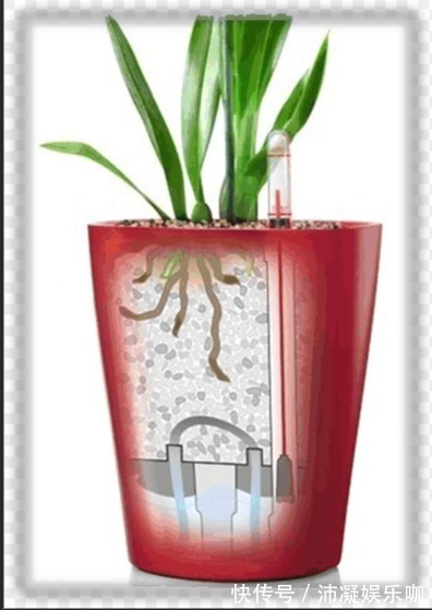 7个生活常用小妙招,最后一个更加的实用,其中你知道几个呢?