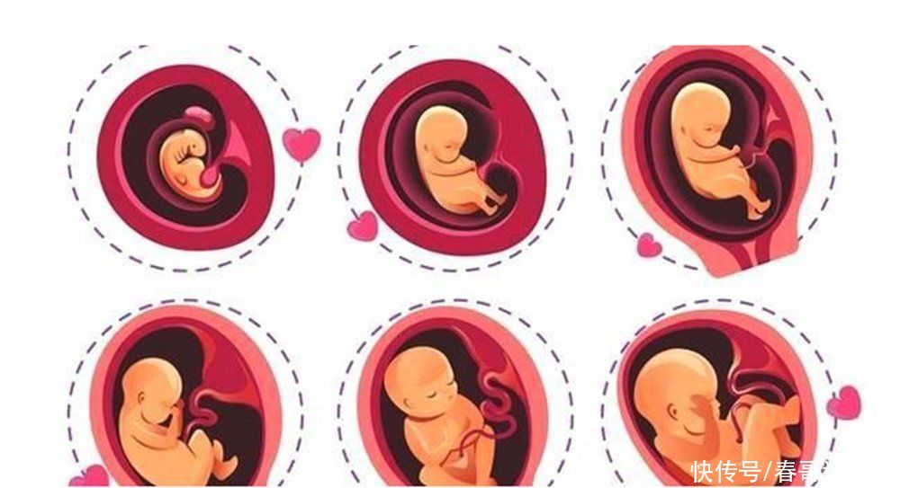 月经|生理期不准的女性,如何算“怀孕天数”?很多孕妈都搞不清楚