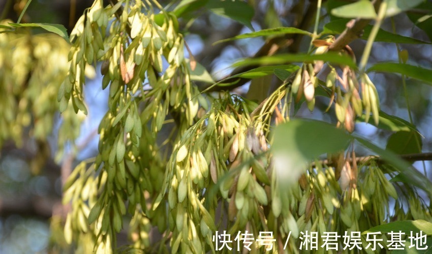 女人|生来就好运相伴的四大生肖女，早年被丈夫宠上天，晚年子女孝顺