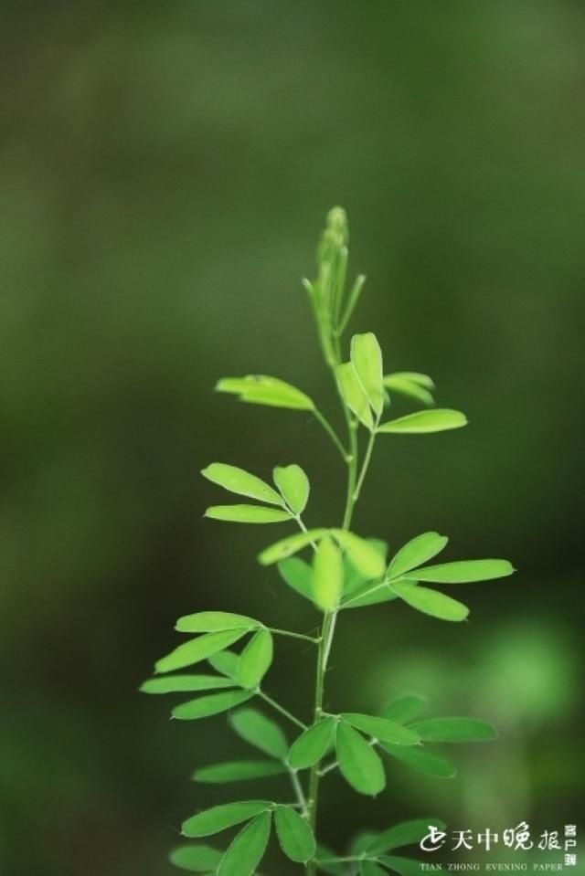 王建成|西山：点点滴滴皆风景