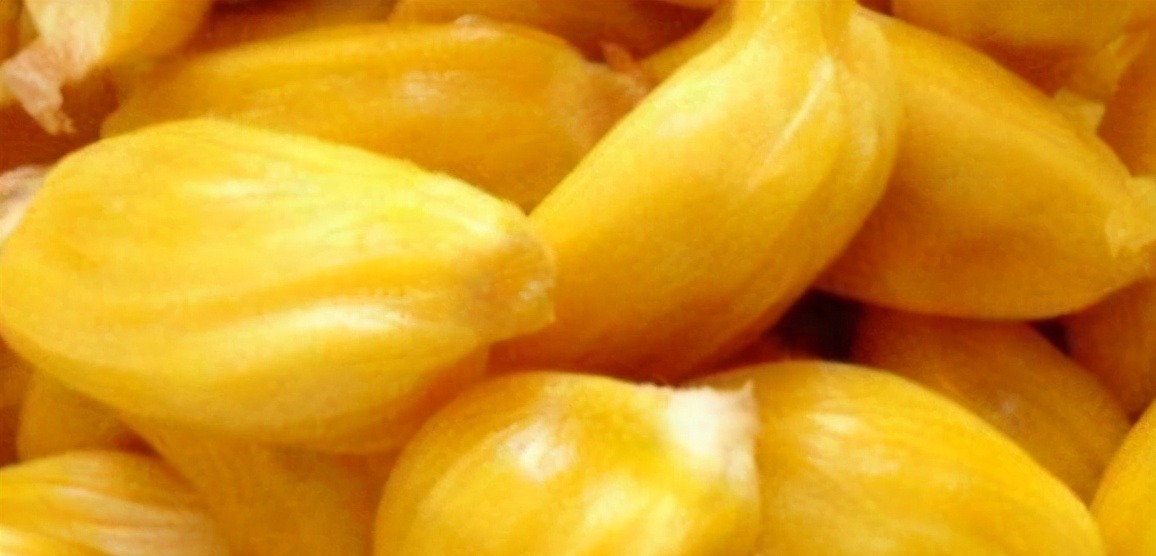 冬季养生常吃3种食物,补益气血,美容护肤,延缓肌肤衰老