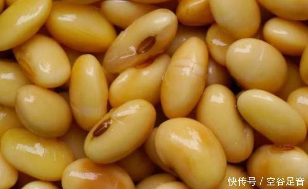 女人|女人别太节俭,多吃4种“零嘴”,补充雌激素,60岁也不显老