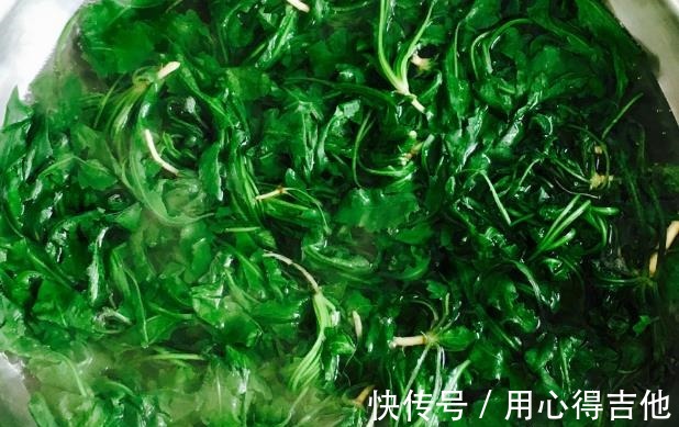 维c|冬季的“野菜之王”,遇到多买一些吃,富含11种氨基酸,利肝明目