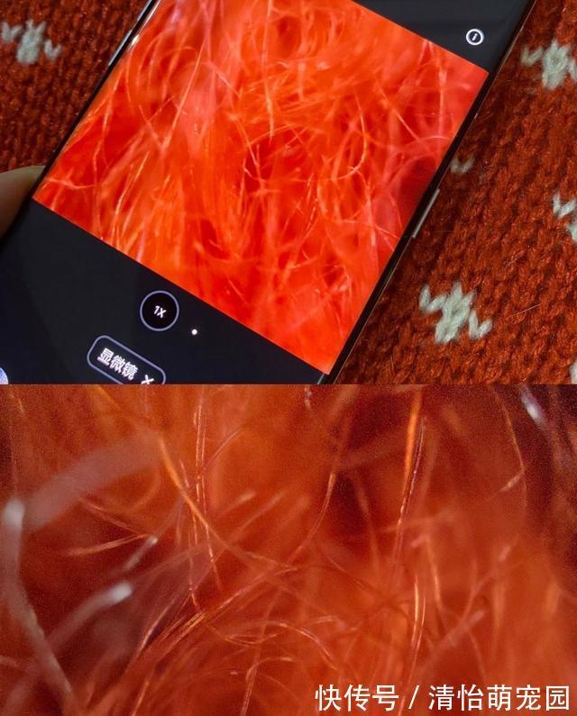 oppo|微观世界有多神奇？在肉眼不可见的景色里，竟然藏着另一个春天
