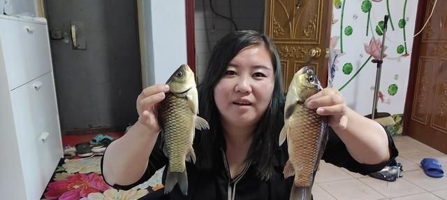 大鲫鱼的“哭泣”躲在河中心都没用,最终沦为钓鱼人的盘中餐?