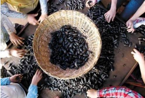 dn这种水果被央视曝光严重致癌,大多人都不知道,还有人天天都吃!