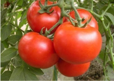 食物|美丽女性要常吃3种食物,排出毒素,美容养颜,保护子宫