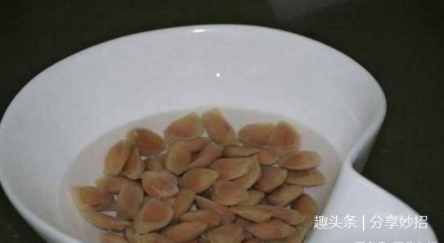 盆景还在买这4种水果吃完千万别扔,这样做一个月后变盆栽美景