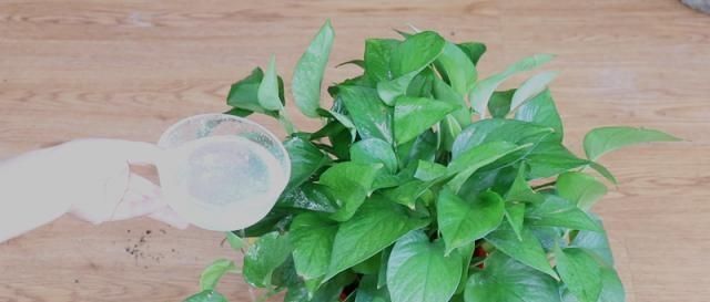 过期面包别扔掉了，这几个厉害用途，学到就是赚到