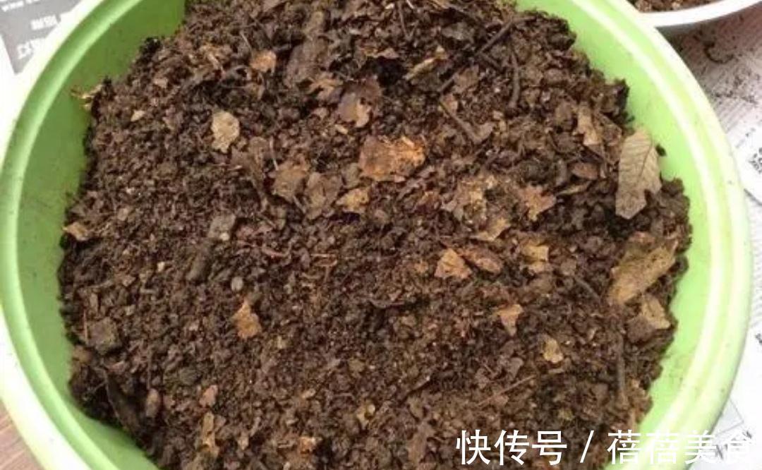 养花的“旧土”加点“废物”,又肥的流油,养花一级棒
