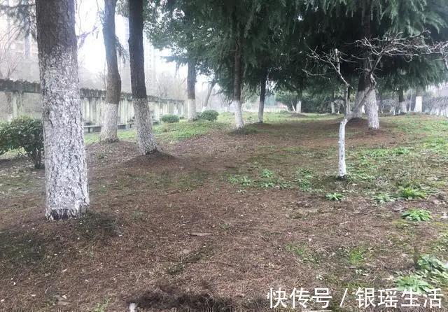 养花30年老花匠的5个“小秘方”赶紧学起来再也不怕养花出问题了