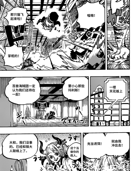 海贼王1012话汉化，大和准备挑战凯多，索隆暂时下线被包成十字架