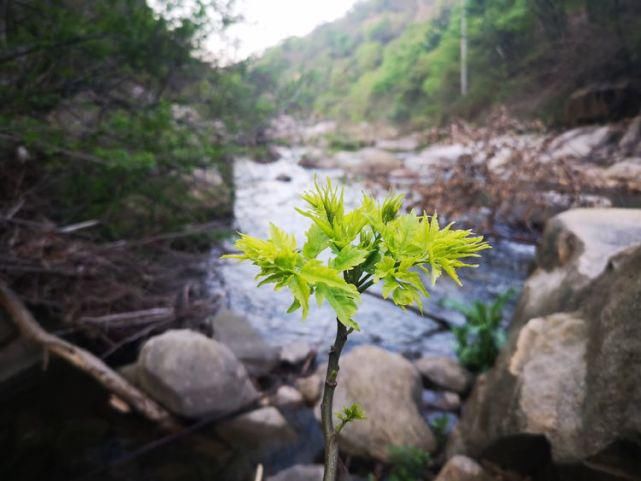 黑明古寺---