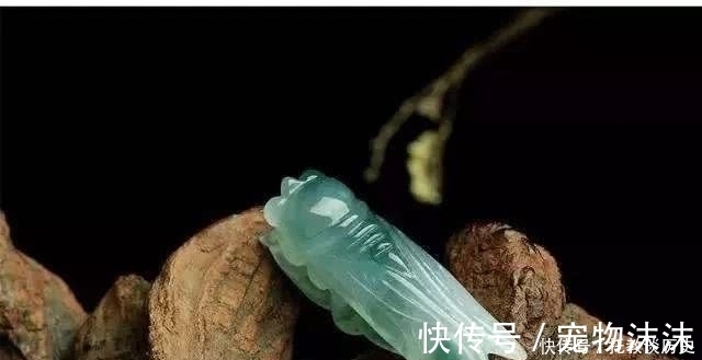 周而复|蝉噪林逾静,我们看一下古代“蝉”的文化寓意