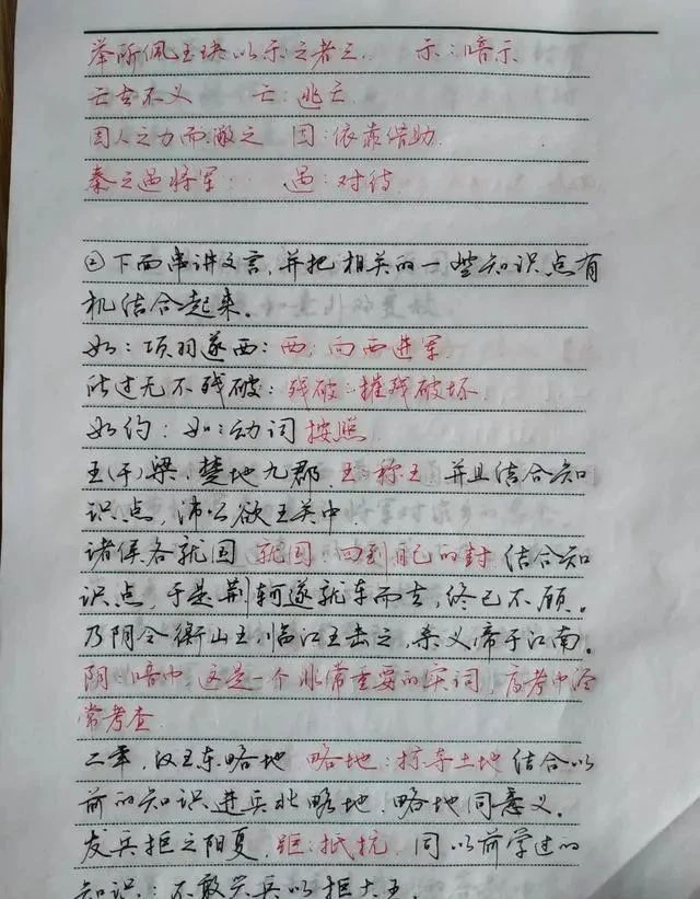 教师的期末复习计划，不仅安排得当，而且字迹行云流水，笔笔精彩