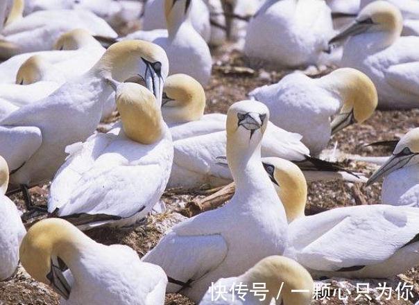 肥料小常识，对症下药别乱搞