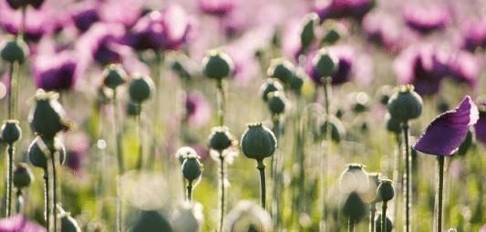 智商|出生在几点钟的孩子,智商最高,将来一定大有出息,前途光明