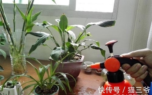 忌讳|冬天养花,浇水有忌讳