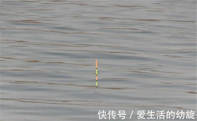 用玉米粒守钓大货,这几种调漂方法比较实用,中鱼率都很理想