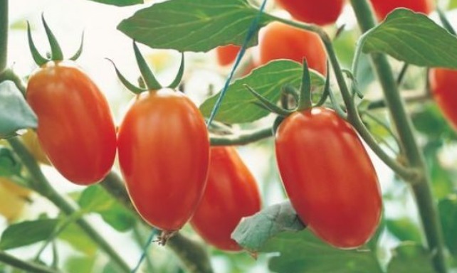 皱纹|女性不想皱纹爬满脸,每天当零食吃,大肚腩不见了,皮肤更水嫩!