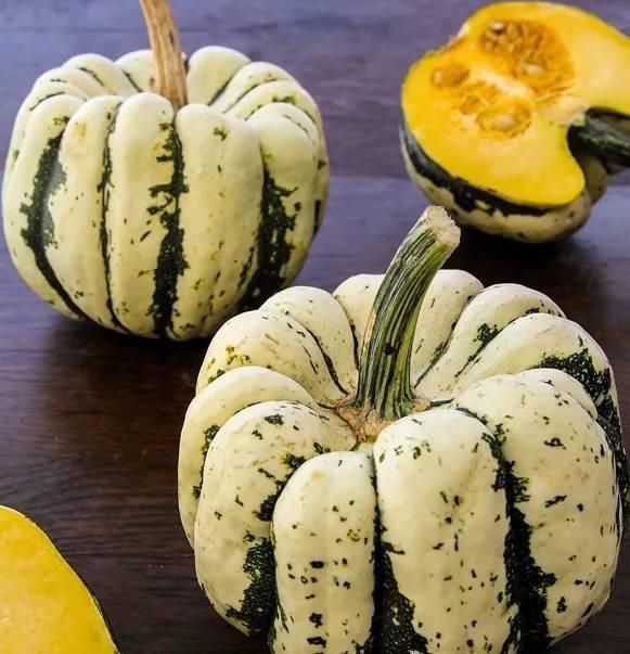 阳台种盆菜,比花还好看,结果还能吃,别提多美了