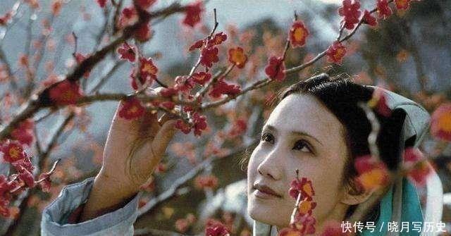 神秘|贾元春为何仅见一面就选钗弃黛只因省亲时她见了一个神秘之人