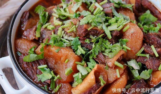 散湿|冬天萝卜牛腩这道菜要常吃,驱寒散湿,“小人参”可不是浪得虚名