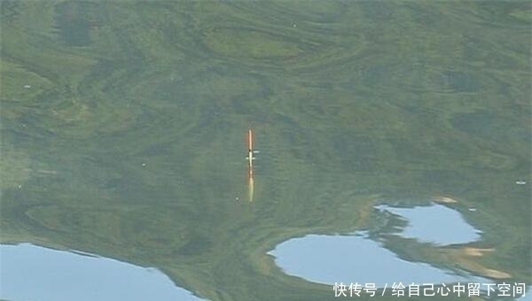 图解|图解调漂的灵钝区别怎么调漂浮漂最灵敏,是钓鱼人的必修课