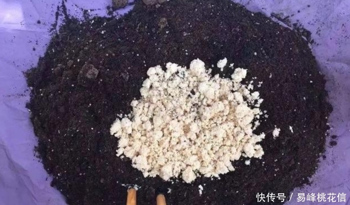 喂猪的东西，用来养花，花开起来迷死人！