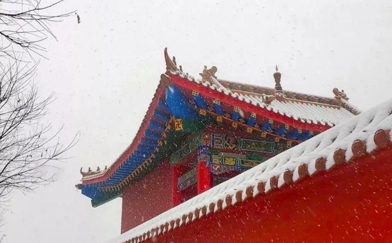 酬王二十舍人雪中见寄&柳宗元的这首诗很冷门,却写尽了万千情意,令人荡气回肠!