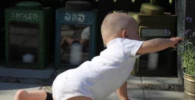 区别|“先爬后走”的孩子,和“不爬就走”的孩子,长大后有3个区别!