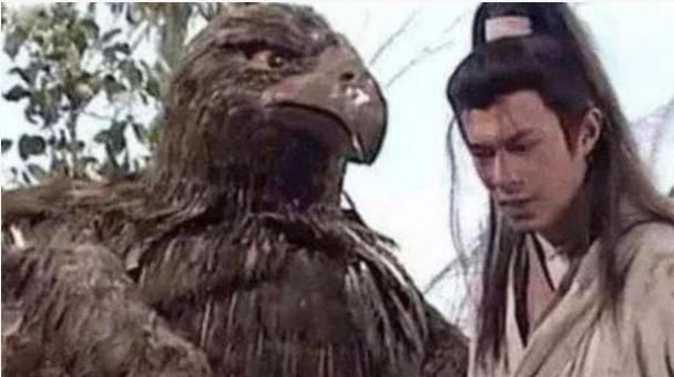 小龙女|杨过当初为何要救雕而杀了蛇?如果救怪蛇,杨过恐怕早已天下无敌