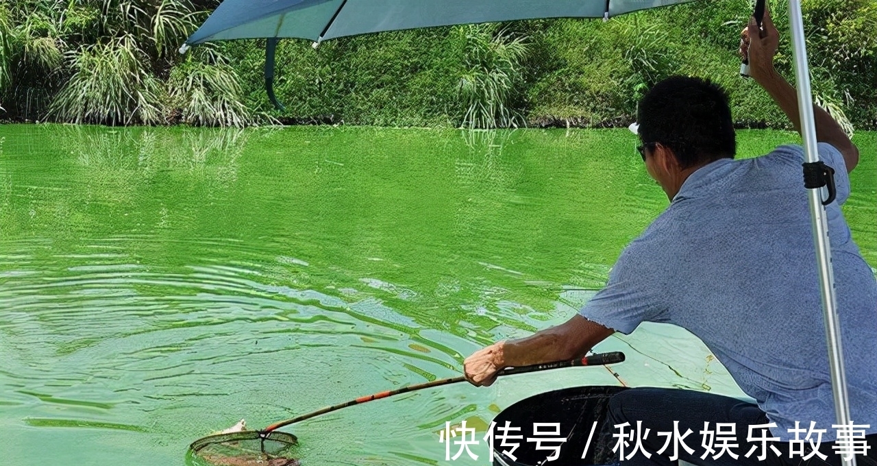 提前下鱼护导致渔获惨淡之谜,被渔具店老板诠释了,分享给大家