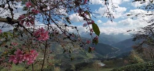 冬日樱花浪漫的无量山，竟然就是天龙八部中的神秘之境