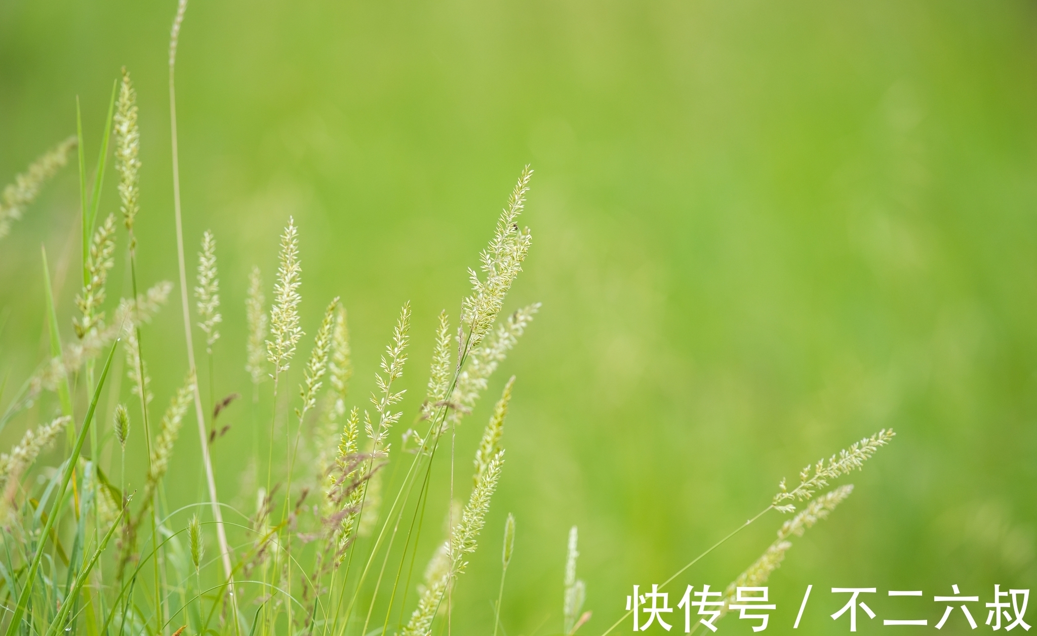 人道酬诚$人生,悟天道,知畏惧;悟人道,懂善良