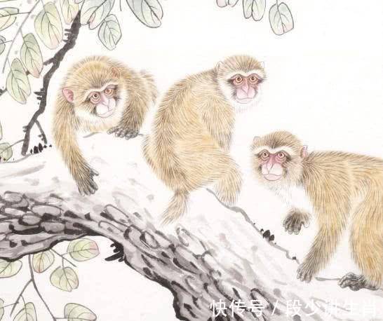 事业|年底事业步步高升,运势奇佳,翻身赚大钱,逆风翻盘的3大生肖