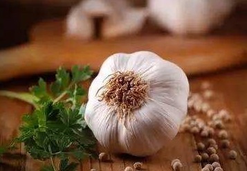 碎末状|提高免疫力的四种食物,每天吃一点,身体健康强一点