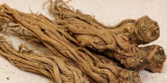 气血不足|一味中药材调理气血不足,而且能从病根的脾胃调理,还补肺气