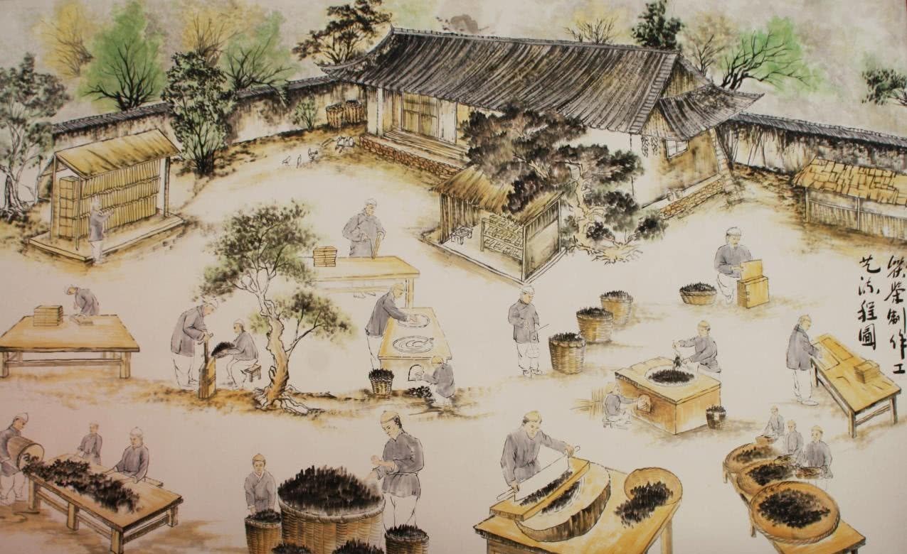 张之洞|1894年，中国茶首次自运出口，就赚几百两，外国资本家开始“坐不住”了