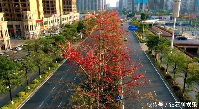 三月|花样荷城,美不胜收!